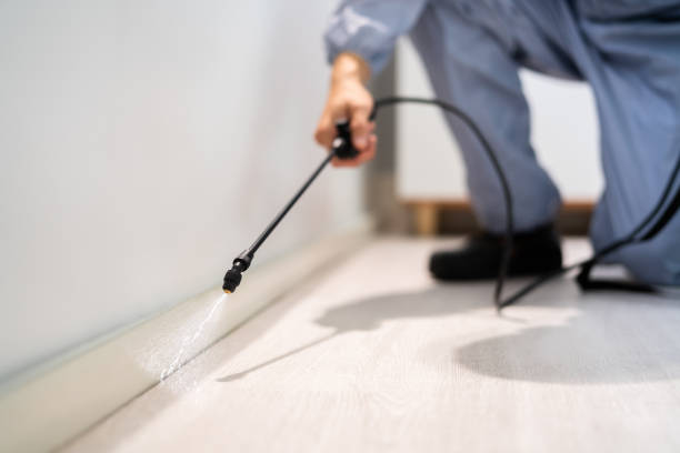 Licensed Rodent Control service in Napa County County, CA - Nex Pest Control