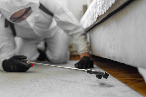 Professional Rodent Control technician working in Napa County County, CA